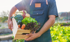 Beneficios de comprar comida ecológica online